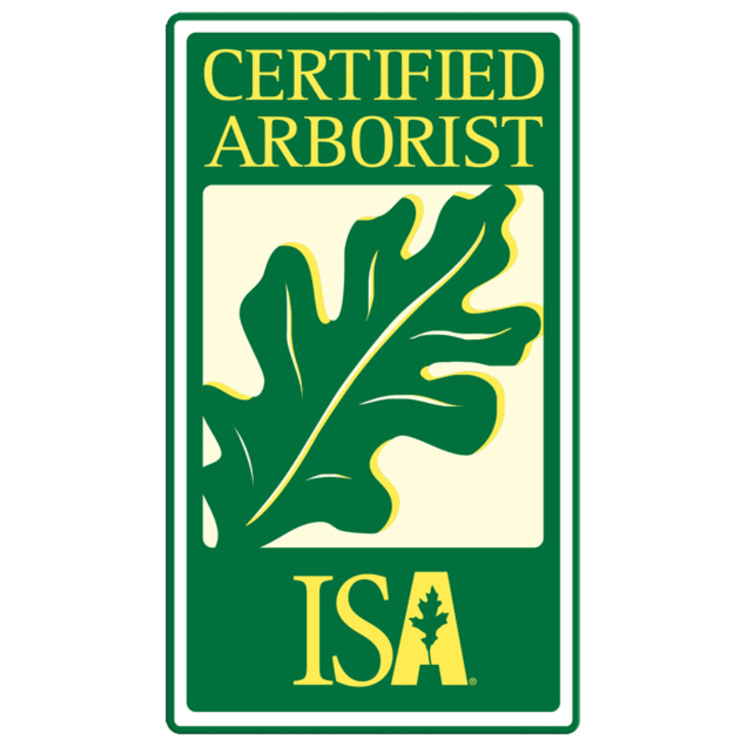 ISA (2)